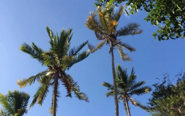 Acuarela Hostal - Hostel