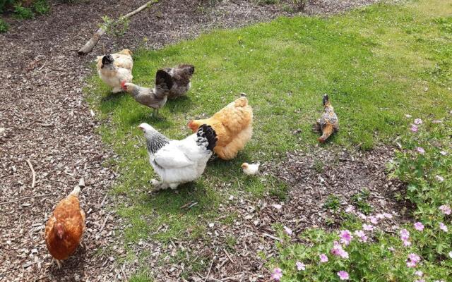 Bij de Vlaamse Schuur