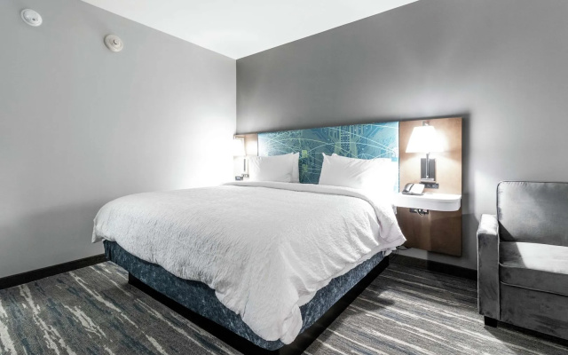 Hampton Inn Locust Grove