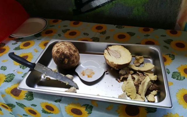 Rollanda Hotel Restaurant