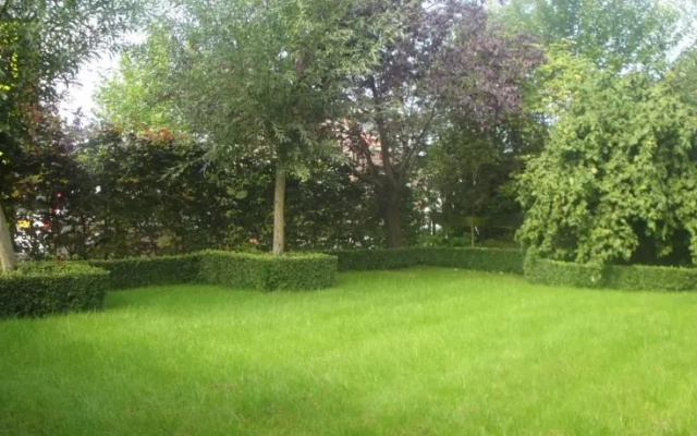 Holiday home Pandora Nieuwvliet