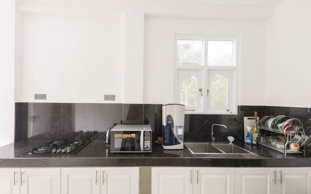 Morning Guest can see Momkeyies and Birds