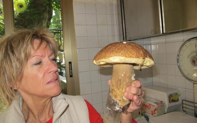 Albergo Ristorante Montecucco da Tobia