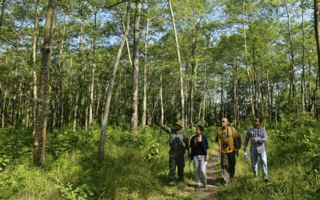 Barahi Jungle Lodge