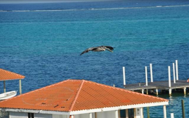 Pelican Reef Villas Resort