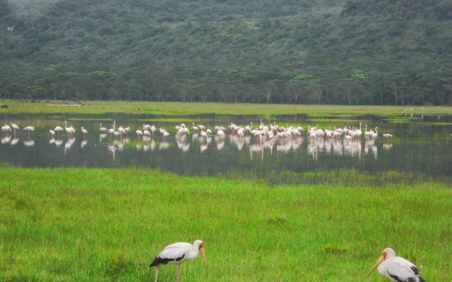 Lake Naivasha Resort