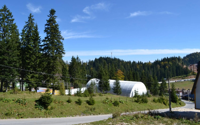 Apartment Gorski javor