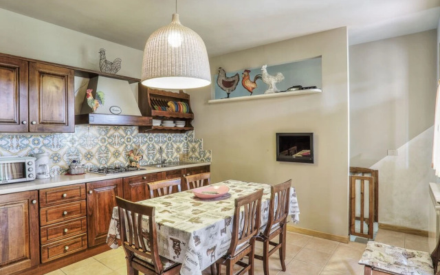 Tulipano Sughera in Sughera