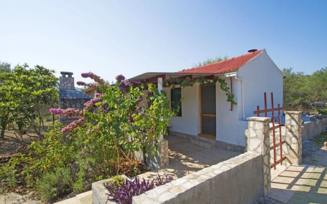 Senka1 - Pure Nature & Serenity - H