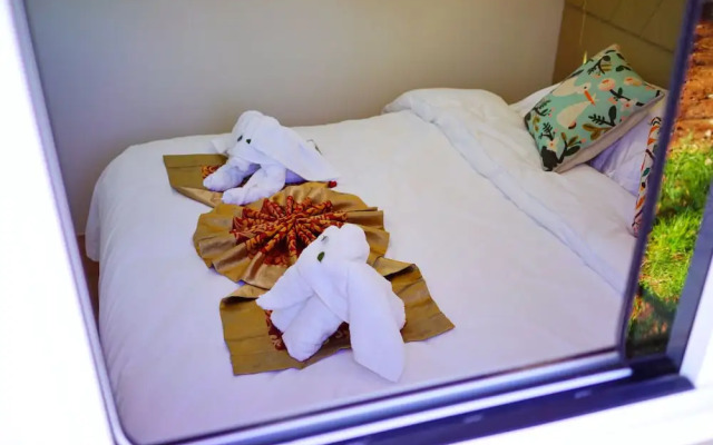 Micheng RV Lijiang Camping