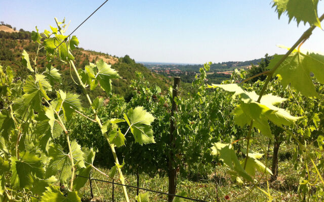 Agriturismo Ben Ti Voglio