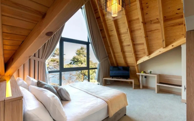 Hancioglu Orman Evleri ve Hotel