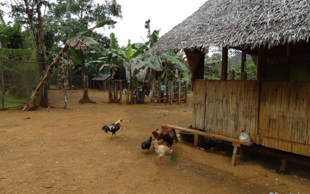 Sheridan Organic Farm and Eco Village