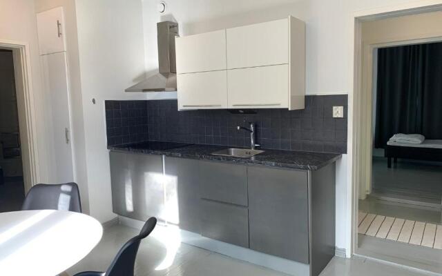 Spacious scandinavia travelers apartment
