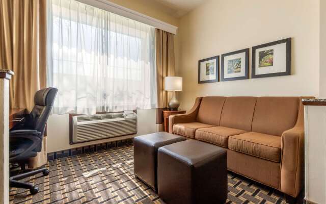 Comfort Inn Summerville - Charleston