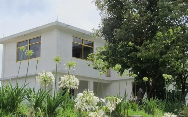 JM Butterfly B&B
