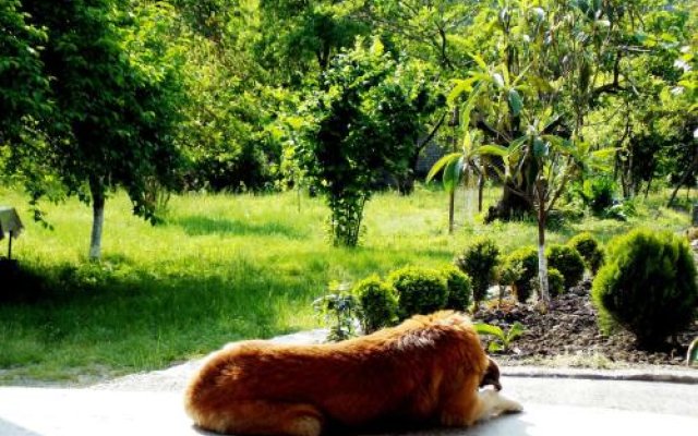 Guest House Gardenia & Wine Cellar