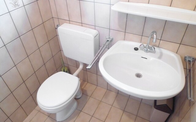 Koralle Norden in Norden