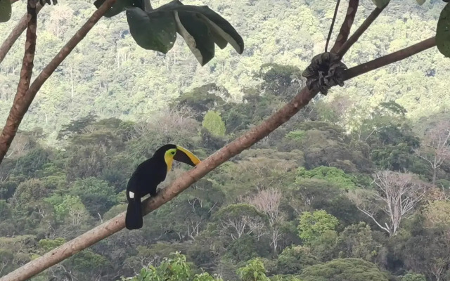 Mirador Osa