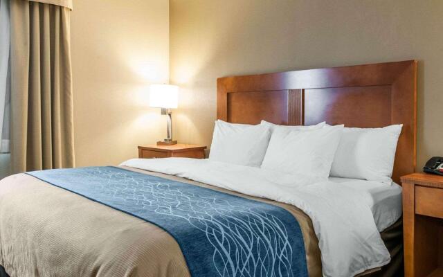 Comfort Inn & Suites Napoleon