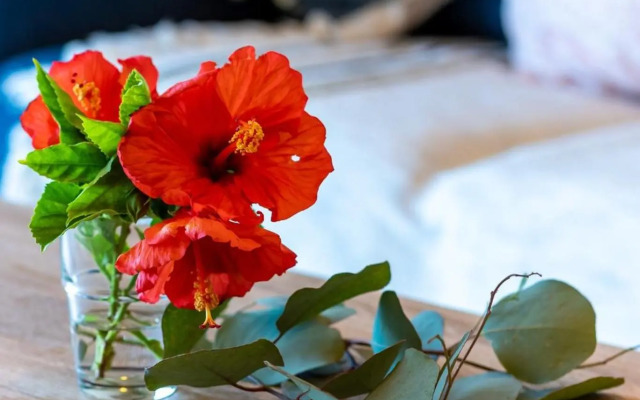 Ocean Resort Maeda / Vacation STAY 3223