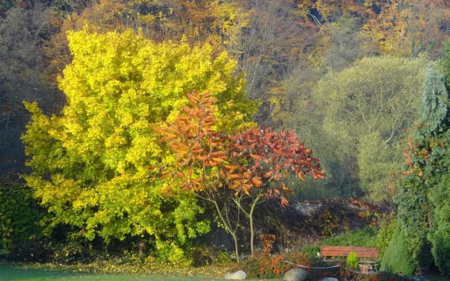 Penzion Podhorní Mlýn