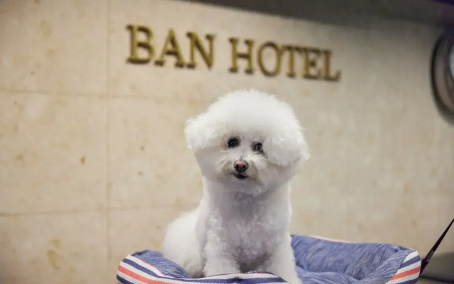 Ban Hotel Tsukiji Ginza