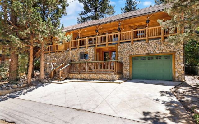 Polar Plunge BIG Bear #2031