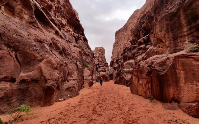Wadi Rum Hostel and Climbing Stay
