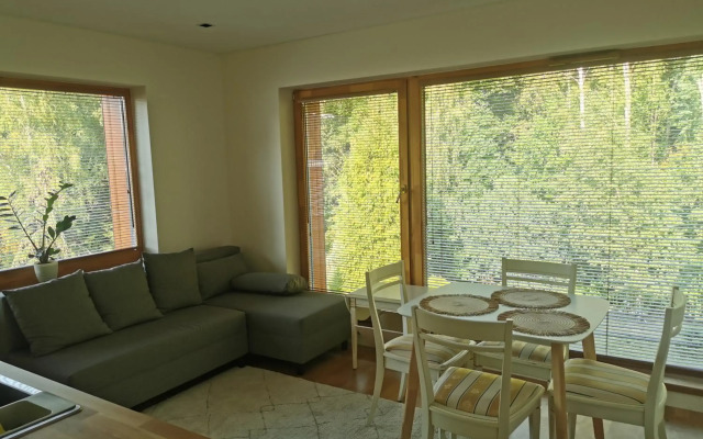 Vytauto 423 Apartments by JK