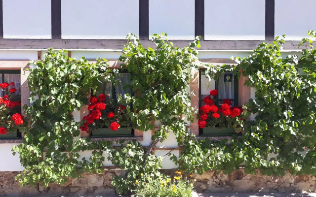 Balancehaus