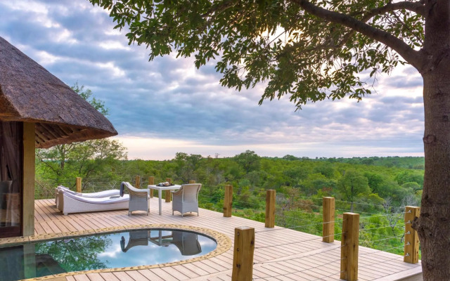 Leopard Hills