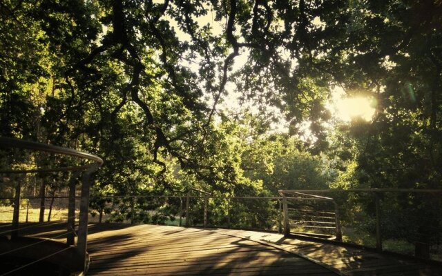 Natures Paradise