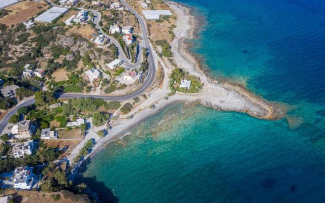 Pancratium #2 Mavros Kolimpos