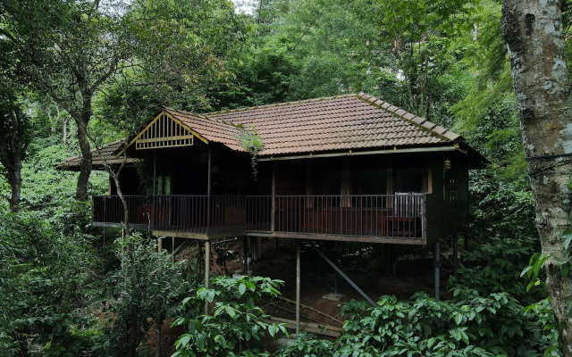 Planet Green Plantation Resorts