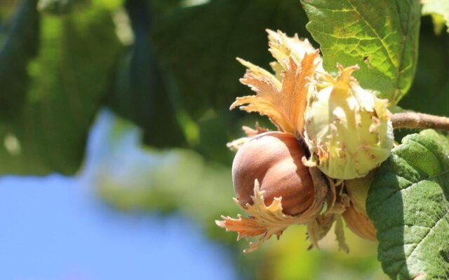 Agriturismo Le Fontane