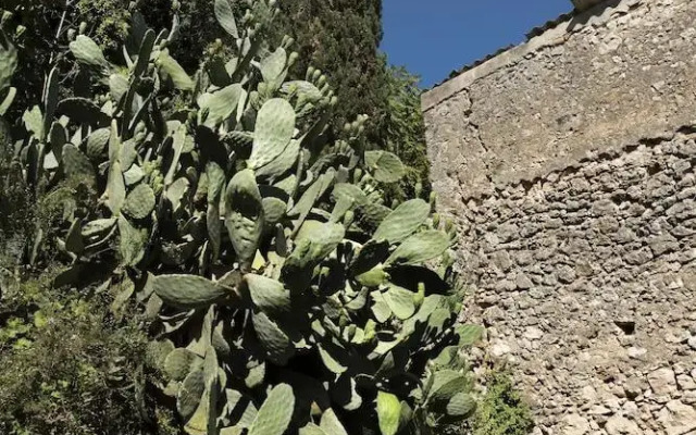 White Jasmine Cottage