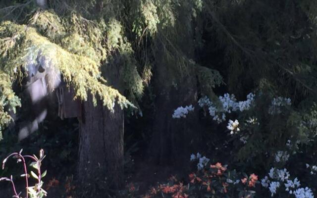 The Sacred Garden Healing Center