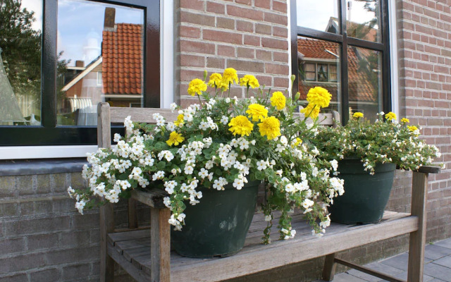 Fantastic Holiday Home 50m From the Wadden Sea