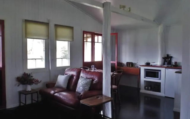 Bunnyconnellen Olive Grove And Vineyard