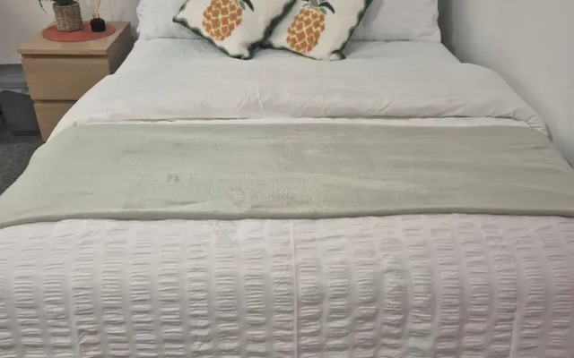 Spacious Large 4BR Home Train Station University