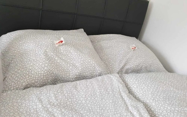 Cozy Apartment near Cologne & Aachen