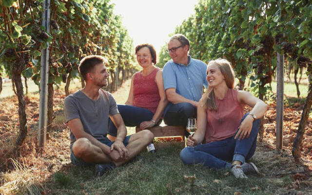 Weingut & Weinparadies Meyerhof