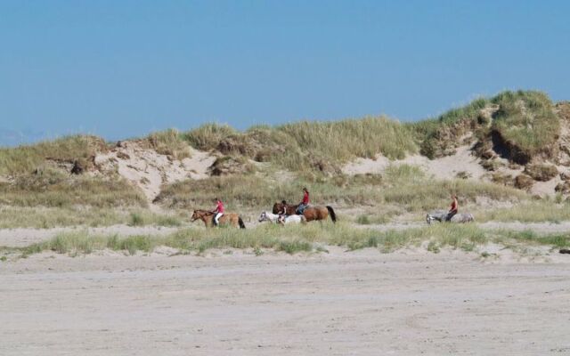 "Gunde" - 900m from the sea in Western Jutland
