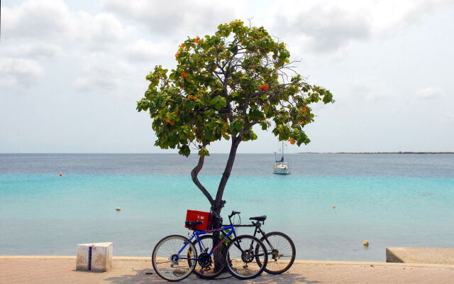 City INN Bonaire