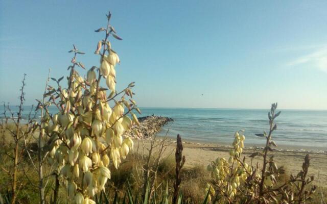 Appartamento Trifoglio