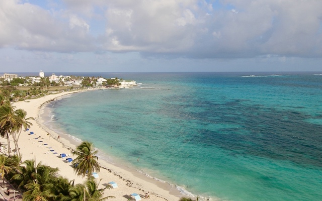 On Vacation Coral Flower