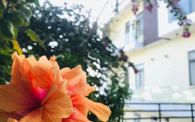 Quang Vinh - Đao Ly Son