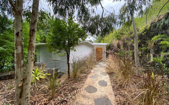 Lodge Nature
