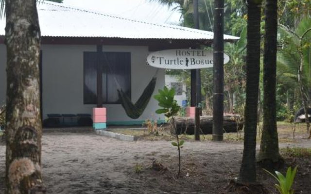 Casa Turtle Bogue - Hostel